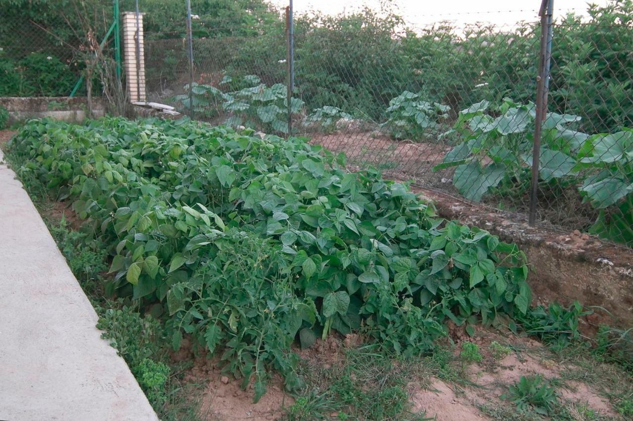 El Jardin De Manuela Villa Santibanez del Val Exterior photo
